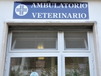 Ambulatorio Veterinario